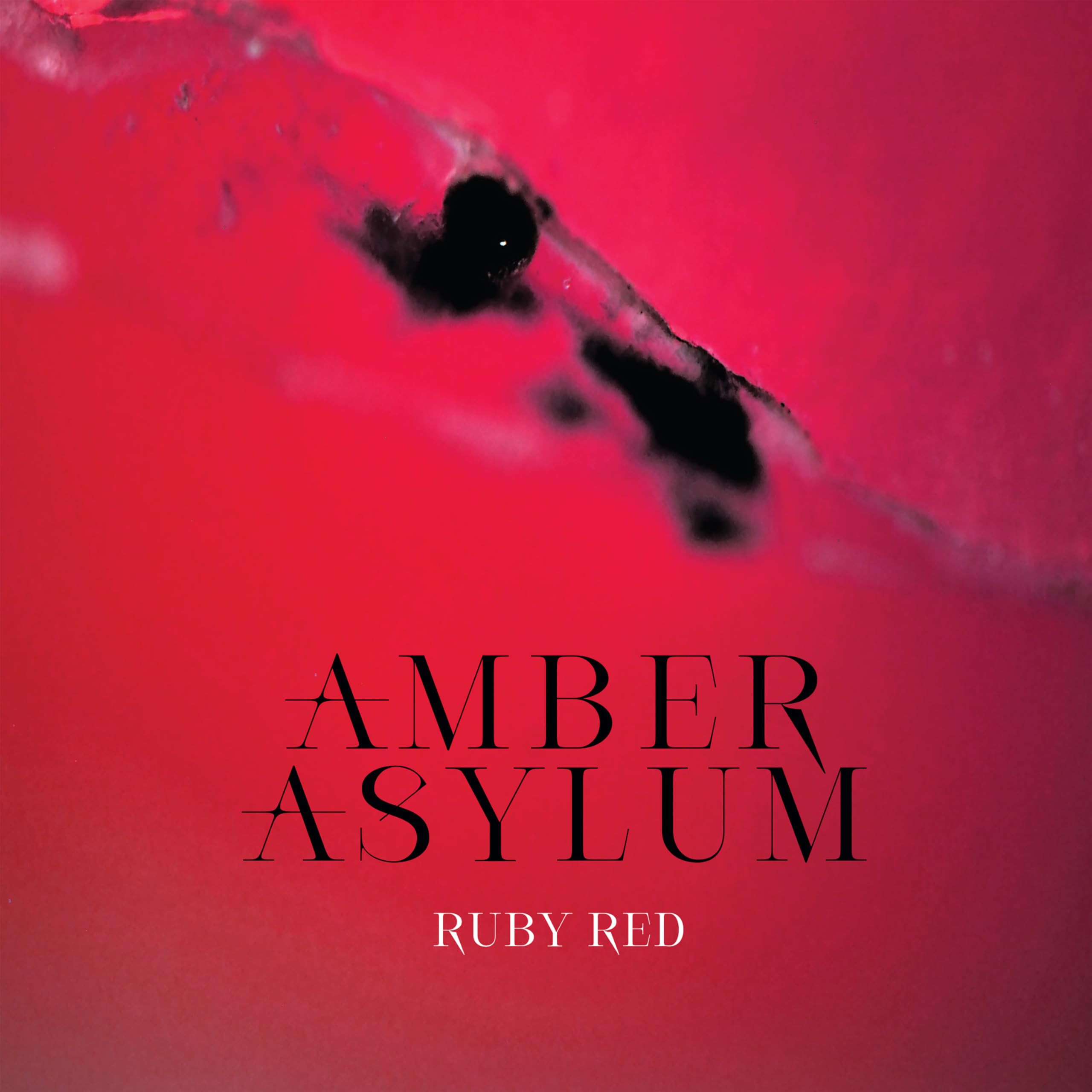 Amber Asylum