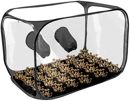 Still Air Box,Mushroom Growing Still Air Box,Mushroom Grow Container,Planting Bag Mushroom Tent Propagation Stations,Portable Mushroom Grow Tent Kit,Mushroom Mycology Fume Hood Propagation Stations