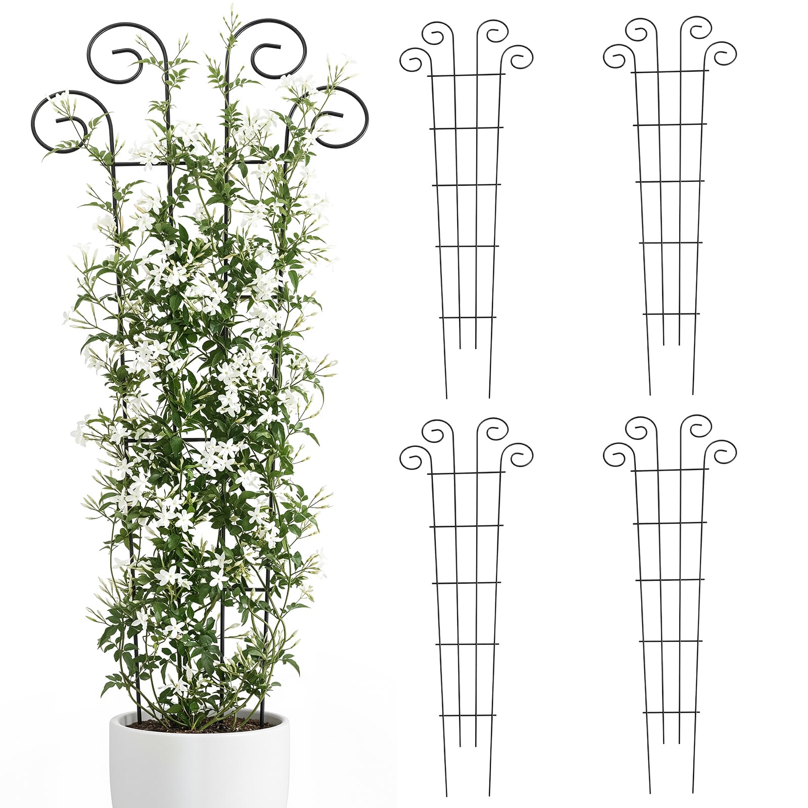 Thealyn 56 Wave Trellis