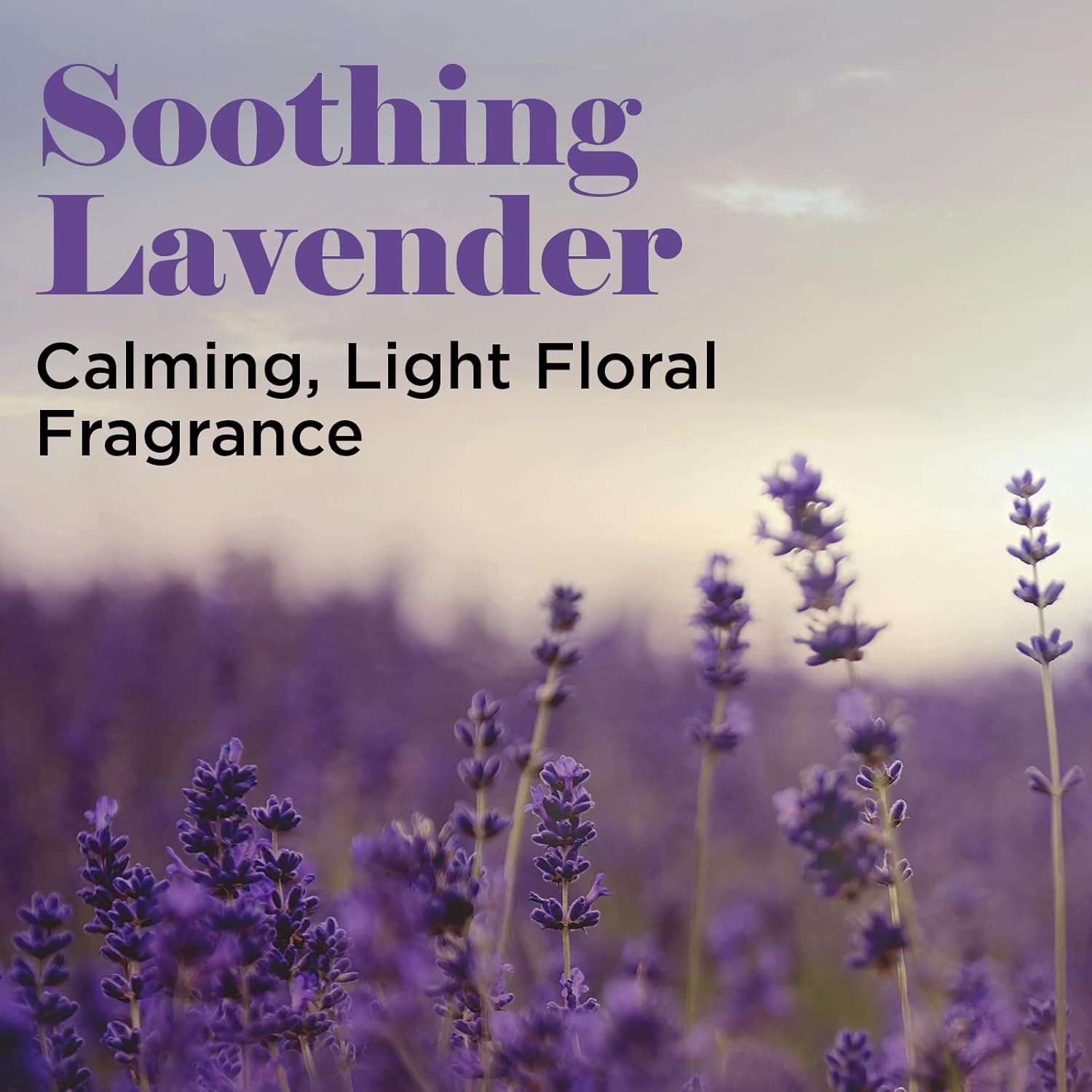 Detangling Spray - 1 Gallon - Soothing Lavender Fragrance Coat Types - Can Be Used On Dogs and Cats 12 Weeks and Older