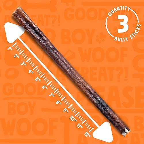 Vista 31 de Palitos Junior Bully para perros pequeños, totalmente naturales, de un solo ingrediente, para cachorros y perros medianos (12 pulgadas - 15 unidades)