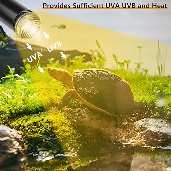 Tortoise Heat Lamp Basking Spot, Reptile UVA UVB Lamp with Clamp Stand(Cycle Timer), 360°Rotatable Turtle UVB Heat Bulb 25W & 50W for Lizard, Snake, Chameleon, Beared Dragon [Energy Class E]