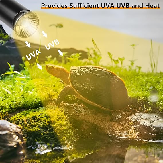 Tortoise Heat Lamp Basking Spot, Reptile UVA UVB Lamp with Clamp Stand(Cycle Timer), 360°Rotatable Turtle UVB Heat Bulb 25W & 50W for Lizard, Snake, Chameleon, Beared Dragon [Energy Class E]