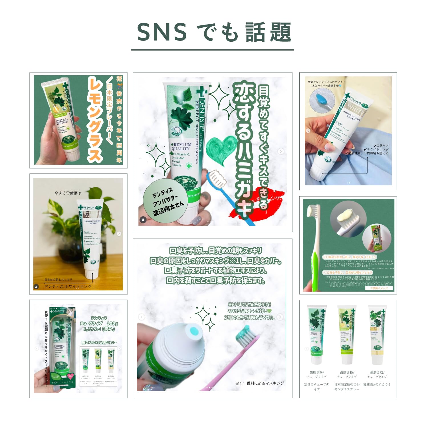 デンティス エチケット ペースト ハミガキ粉 100g ミント