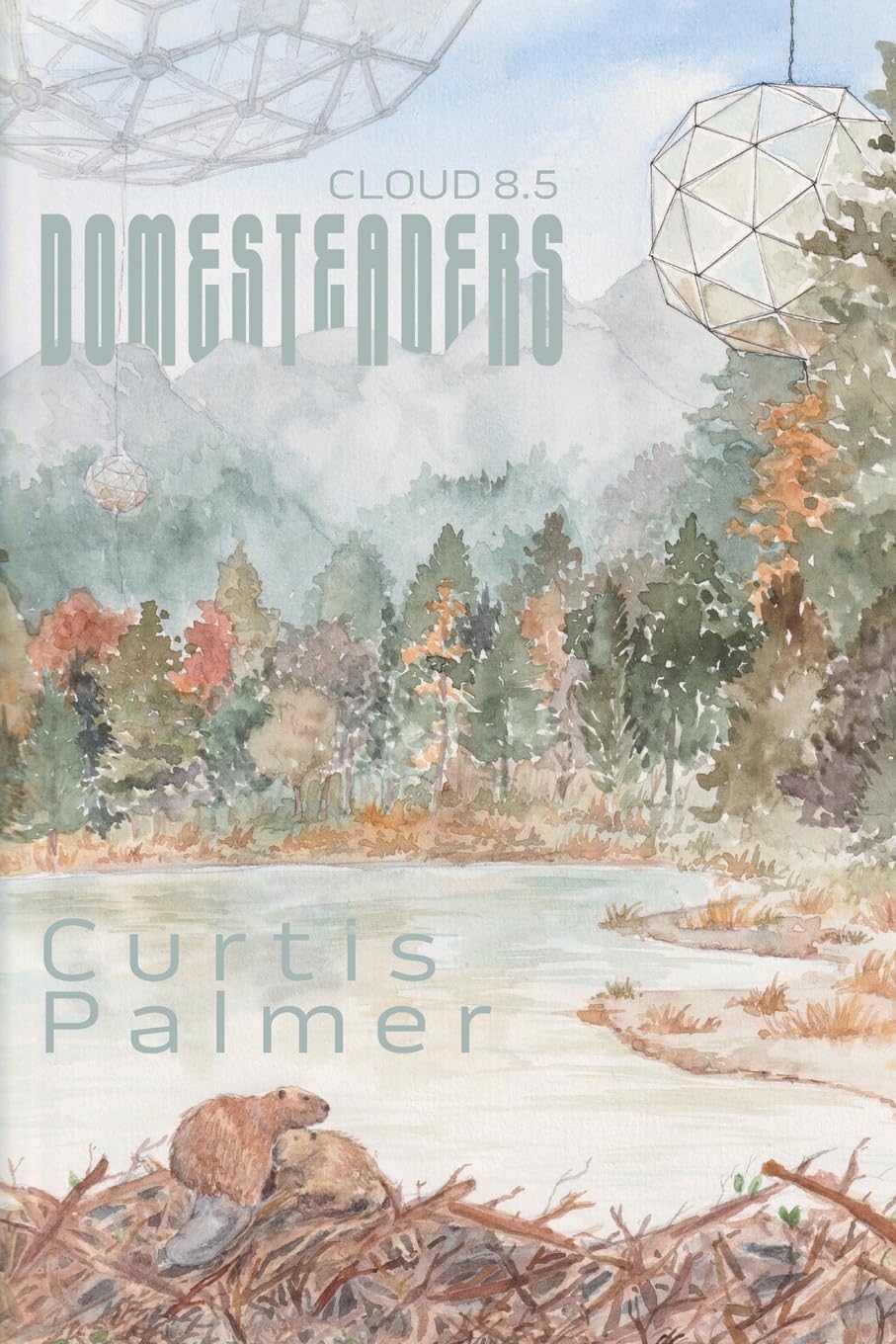 Domesteaders: Cloud 8.5
