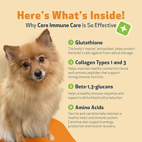 Miniatura 5 de Pet Wellbeing Core Immune Care para perros - Soporte antioxidante diario para mascotas de todas las edades - Apoyo inmunológico holístico formulado