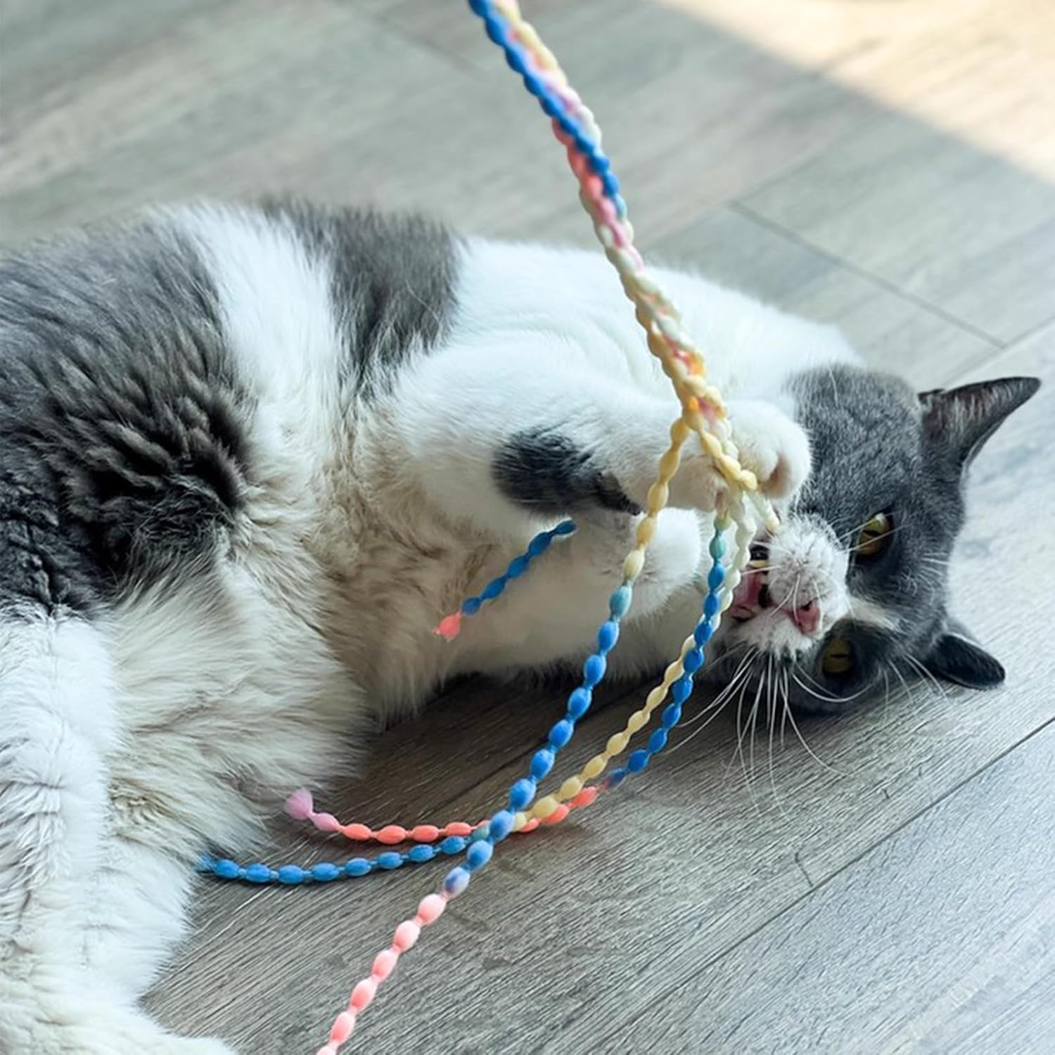 Cat Wands for Indoor, Vibrant Teasing Sti with Bell Interactive Cat Toys