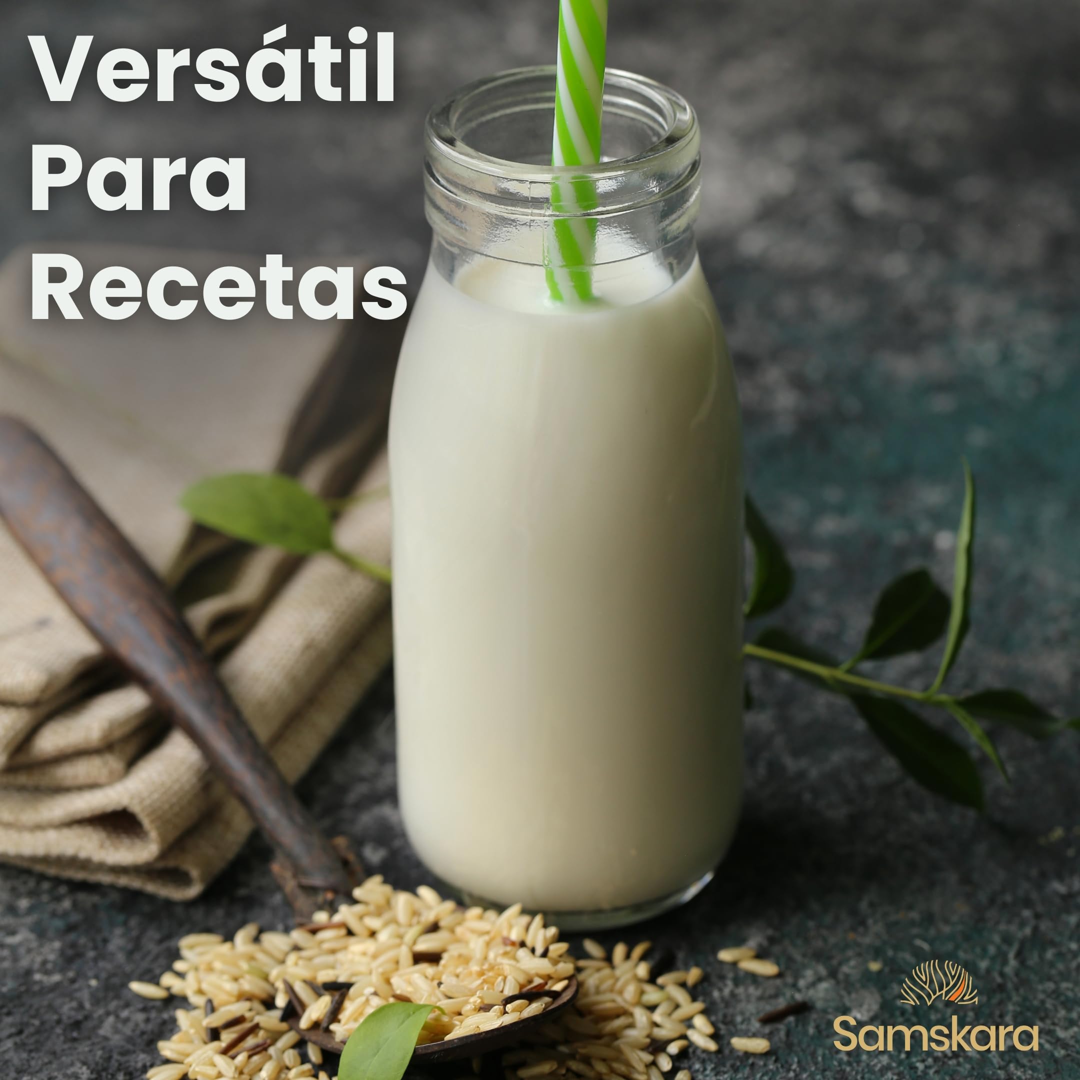 Leche de Arroz Ecológica en Polvo BIO 500 g Vegano Alternativo a la Leche