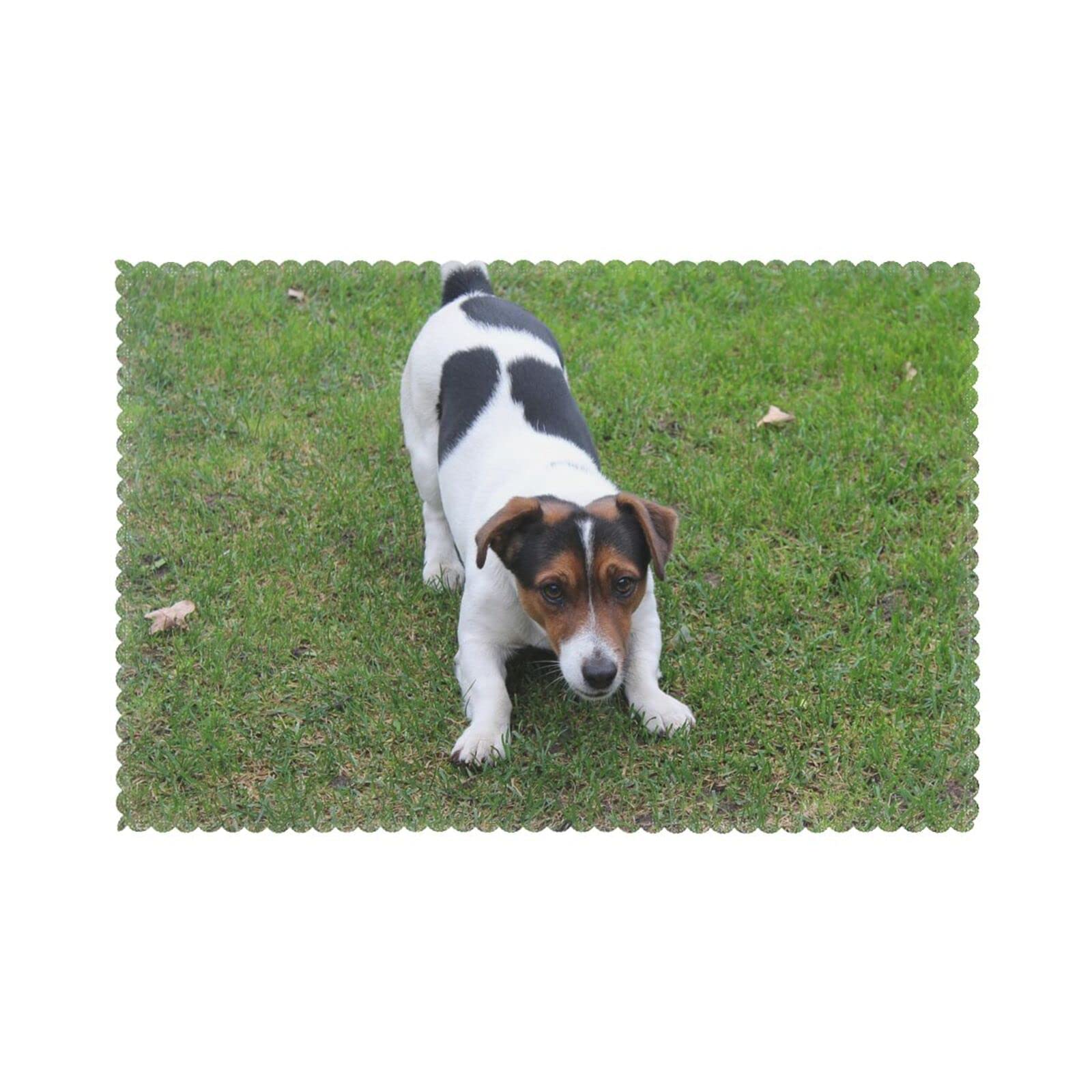 Jack Russell Dog Print Placemat For Dining Table Set Of 6,Waterproof Wipeable Washable ,Easy To Clean Anti-Slip Place Mats 12x18in