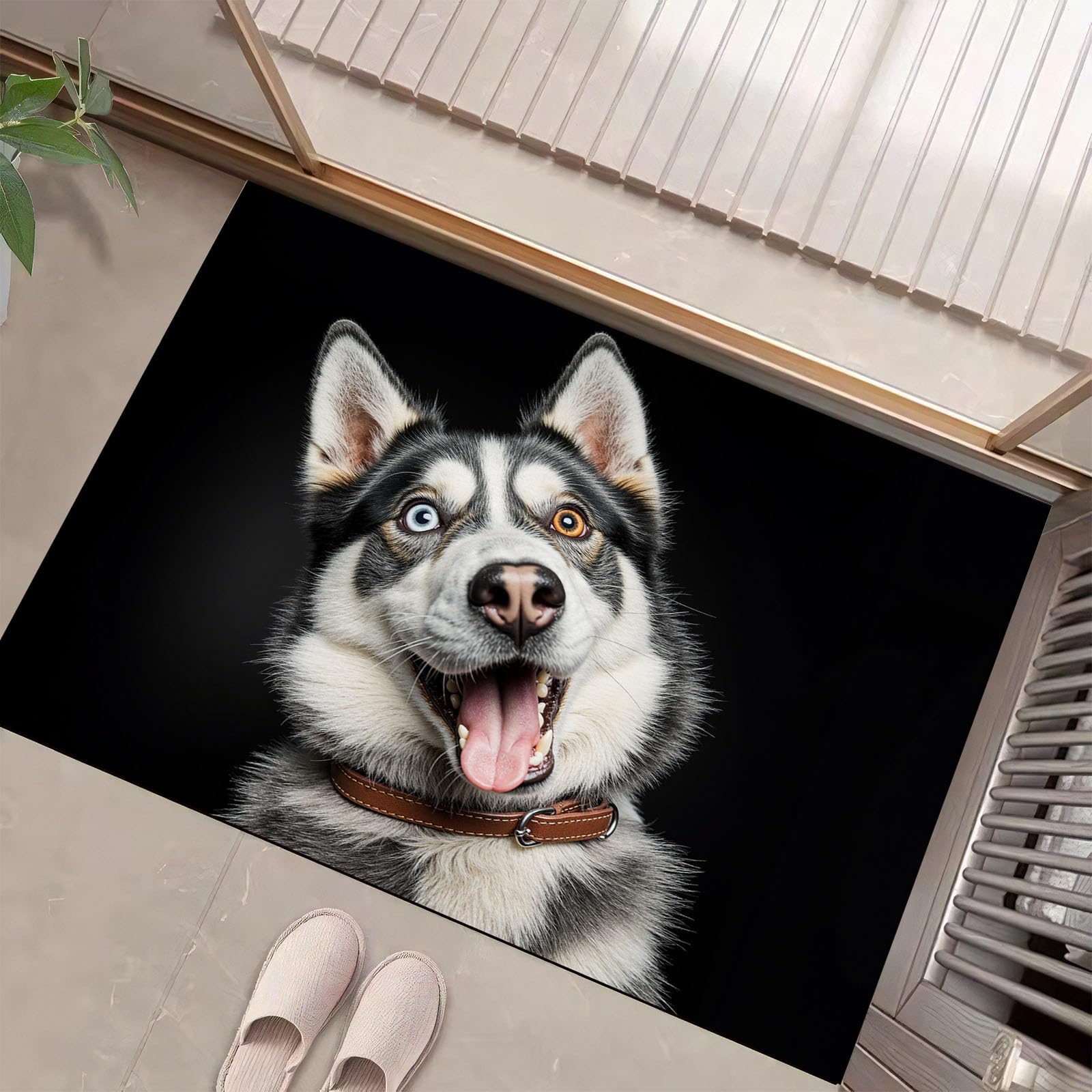 Paillasson lavable husky contre les traces de pattes dans l'entrée