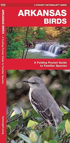 Arkansas Birds: A Folding Pocket Guide to Familiar Species (Wildlife and Nature Identification)