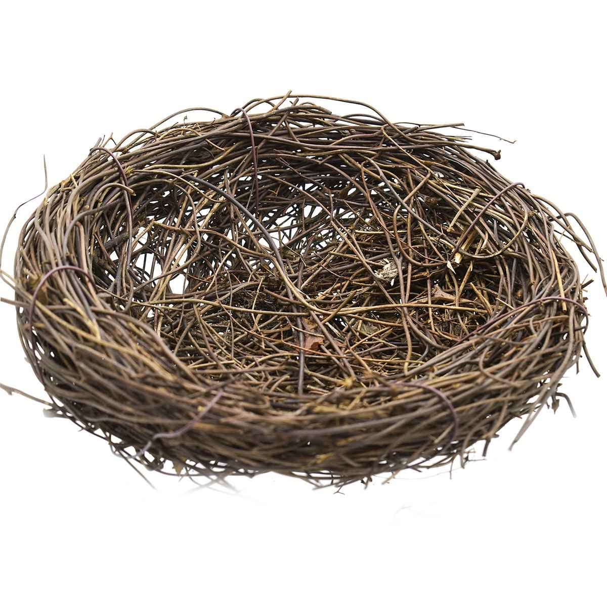 See full amazon price history chart for Aadya Crafts Bird Nest Round 15cm Aadya Crafts Bird Nest Round 15cm (B0BHLK1VHF) Amazon Price History, Amazon Price Tracker