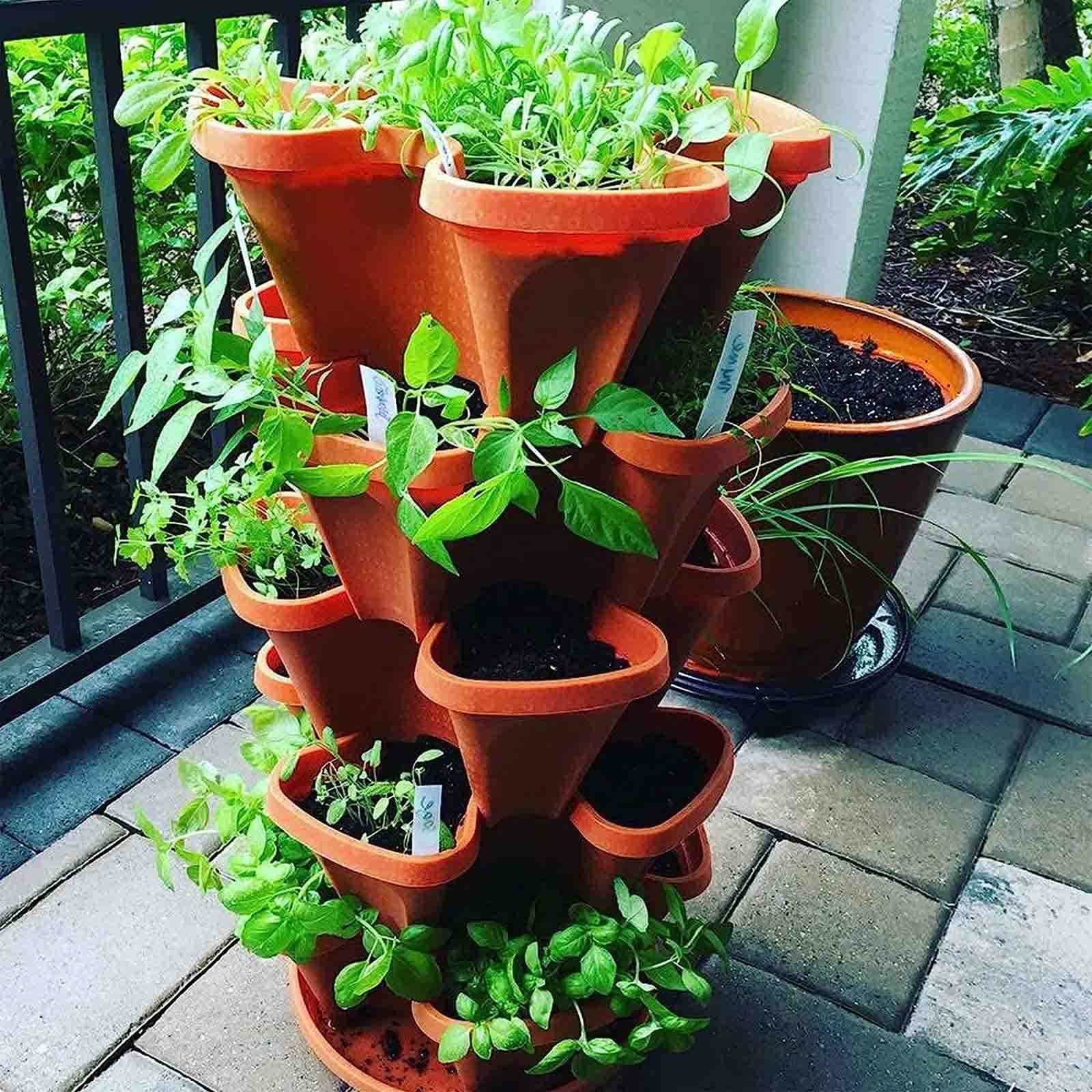 H&amp;O.cp Plants pot TYPE-001：M（口径φ14cm） Amazon.com: Tall Deep Tree Pot, 50Pcs Plastic Plant Seedling