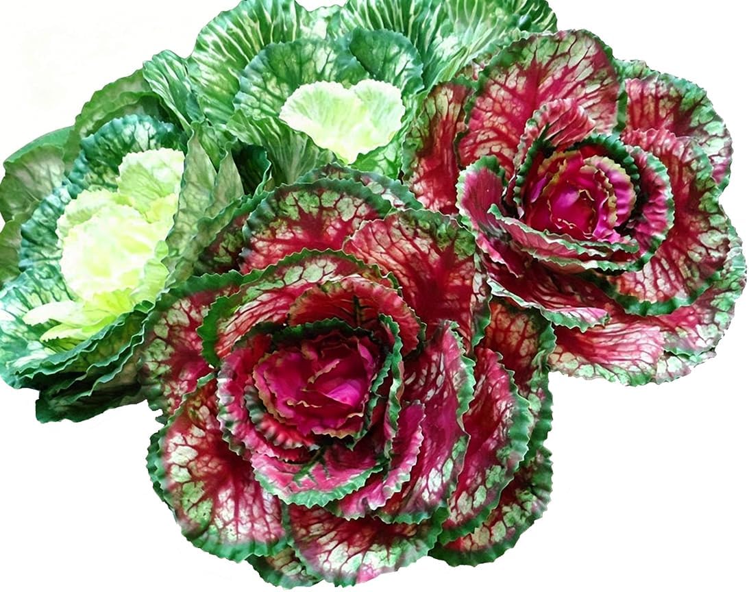 1 Pc Faux Cabbage Artificial Silk Cabbage Stem Simulation Fake Vegetable Model Photography Props for Home Wedding Kitchen Porch Patio Yard Outdoor Decoration (Purple)