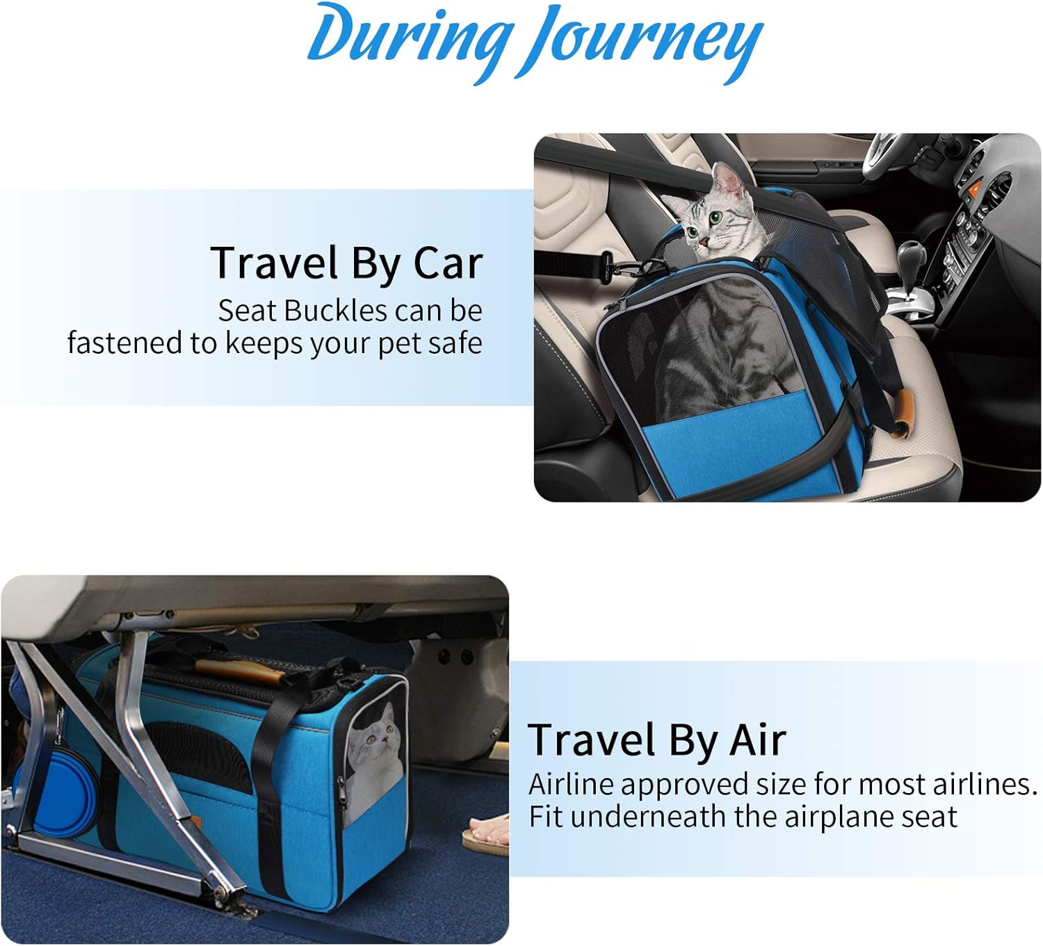 morpilot cat carrier