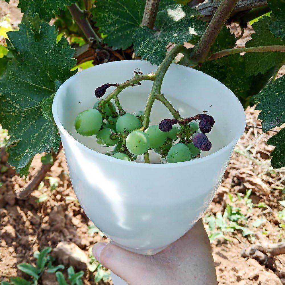 hzzsbu Grape Dipping Cup Medicine Cup Fruit Dipper Gardening Tool for Orchard Garden Fruit Soaking Container Keep Grapes from Damage