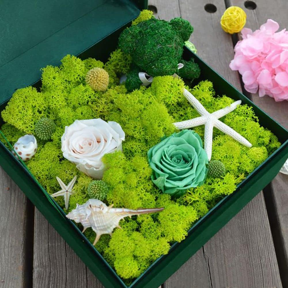 8.46 oz Fake Moss Eternal Moss Preserved Reindeer Moss for Fairy Garden Potted Plants Flower Arrangement Artificial Terrariums Decoration,12 Colors