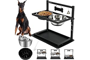 Raised Slow Feeder Dog Bowls for Large Breed