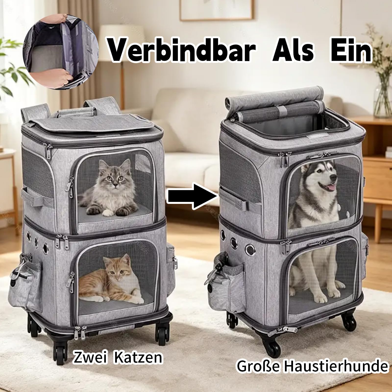 Katzenrucksack Große Katzen, Transportbox Katze für 2 Katzen bis 12kg, Katzentransportbox mit Abnehmbare Rollen, Hunderucksack für Wandern, Reisen, Grau
