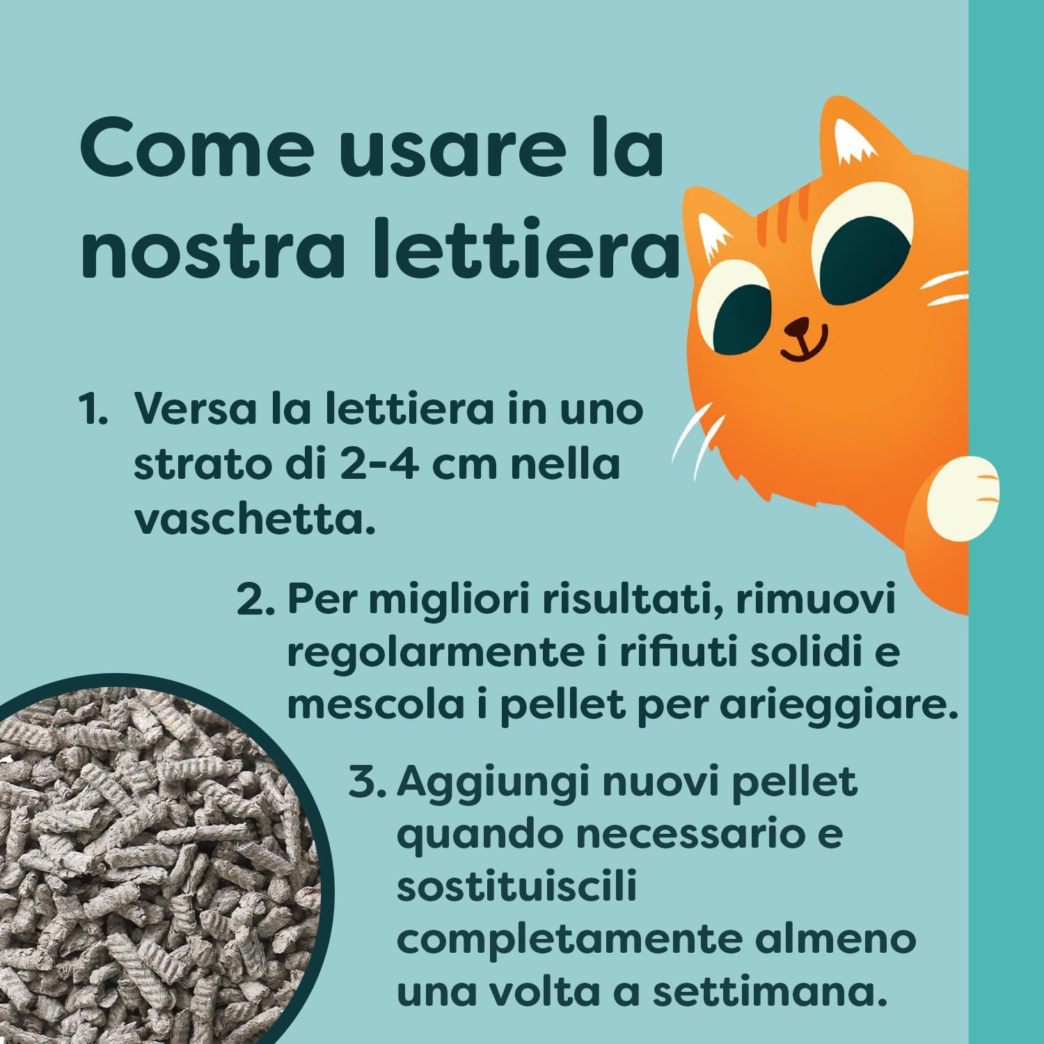 Breeder Celect Lettiera Naturale per Gatti (10L) – 99% Carta Riciclata, Altamente Assorbente, Letto per Gattini, Eccellente Controllo degli Odori, Non Agglomerante, Biodegradabile e Compostabile