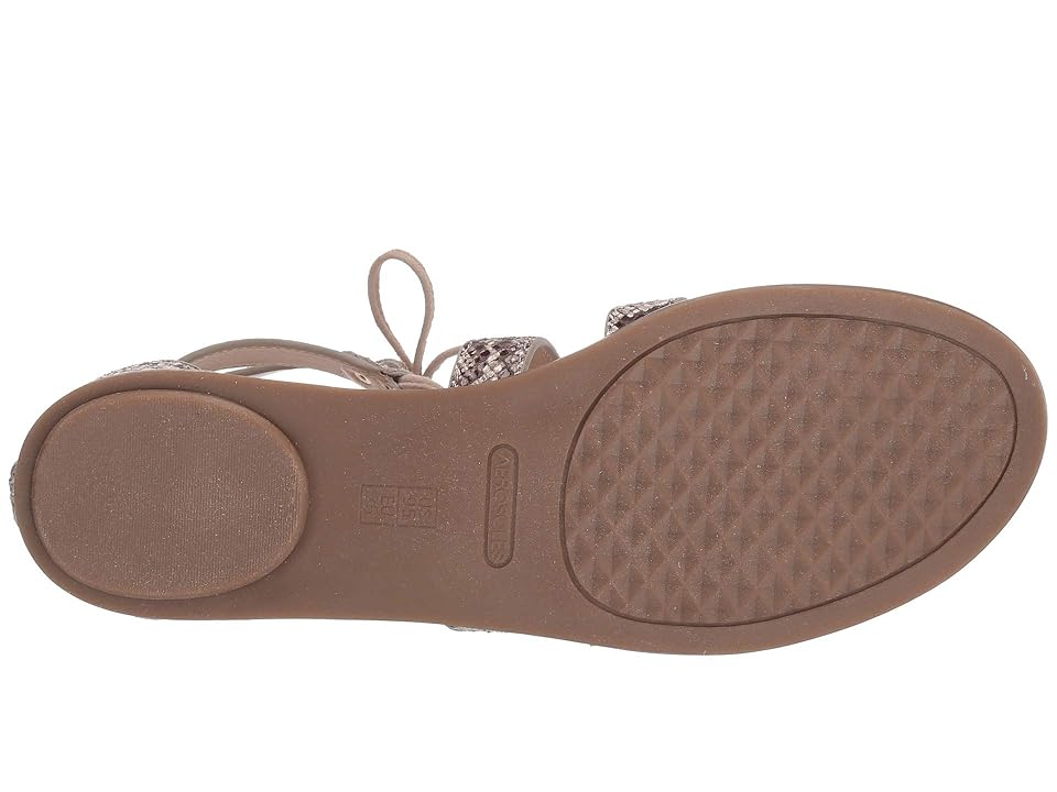 

Aerosoles Lottery (Bone Snake) Women's Shoes