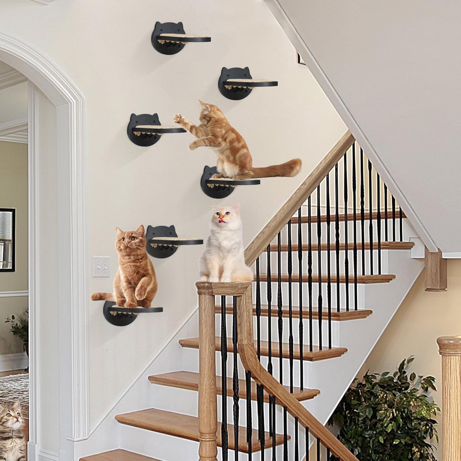review 6 Pcs Cat Wall Shelves, Cat Wall Steps with Hemp Rope Covered, Cat Climbing Shelf Wall Mounted, Wooden Cat Stairs for Wall, Cat Wall Furniture for Cats Playing and Climbing, Cat Ladder Steps (Black)