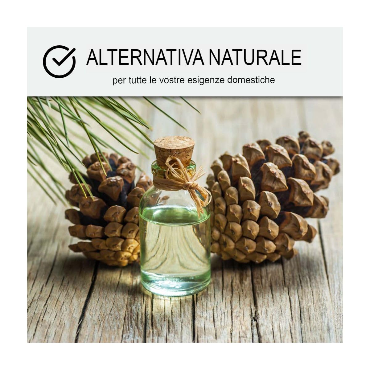 Terebentina, Essenza di terebentina pura - TURPENTINE 101-5 L - ARCANE INDUSTRIES