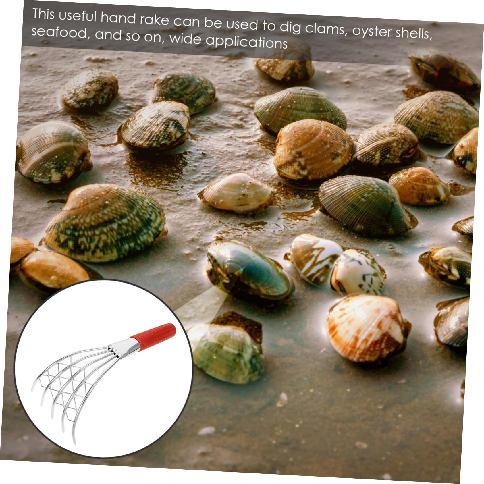 ifundom 4 Stück Muschelrechen für Ergonomischer Rechen mit Fünf Zähnen zum Muscheln und Krabbenfangen Am Strand Handlich und rutschfest