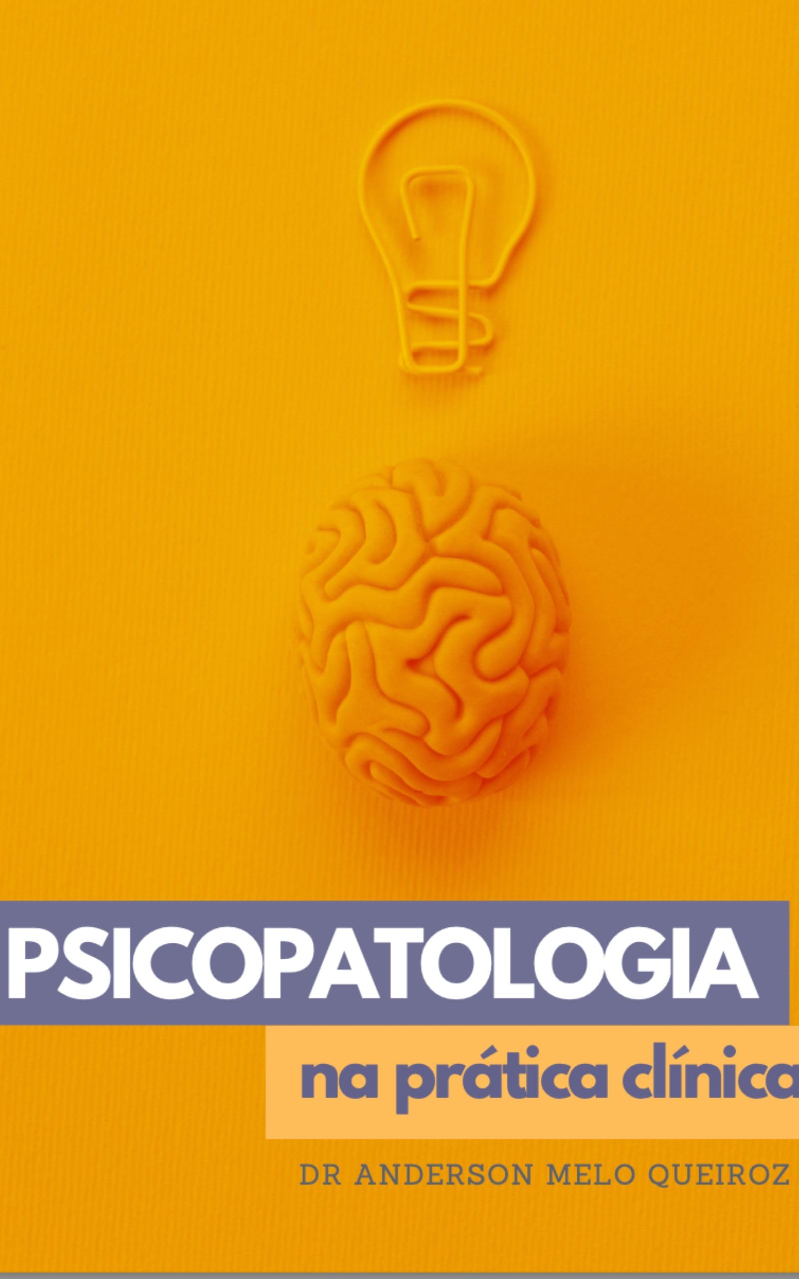 PSICOPATOLOGIA NA PRÁTICA CLÍNICA (Portuguese Edition)