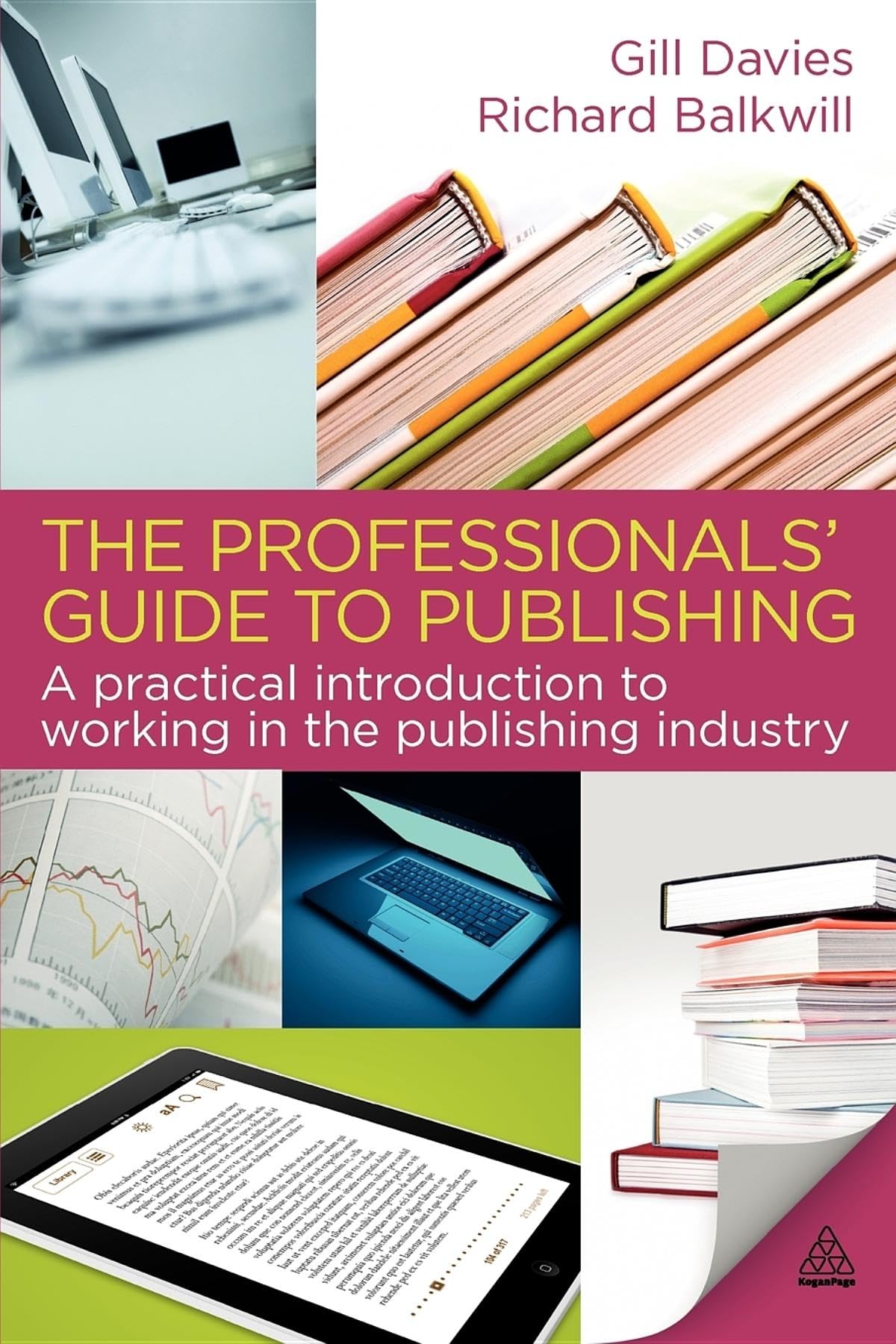 The Professionals' Guide to Publishing: A Practical Introduction to Working in the Publishing Industry