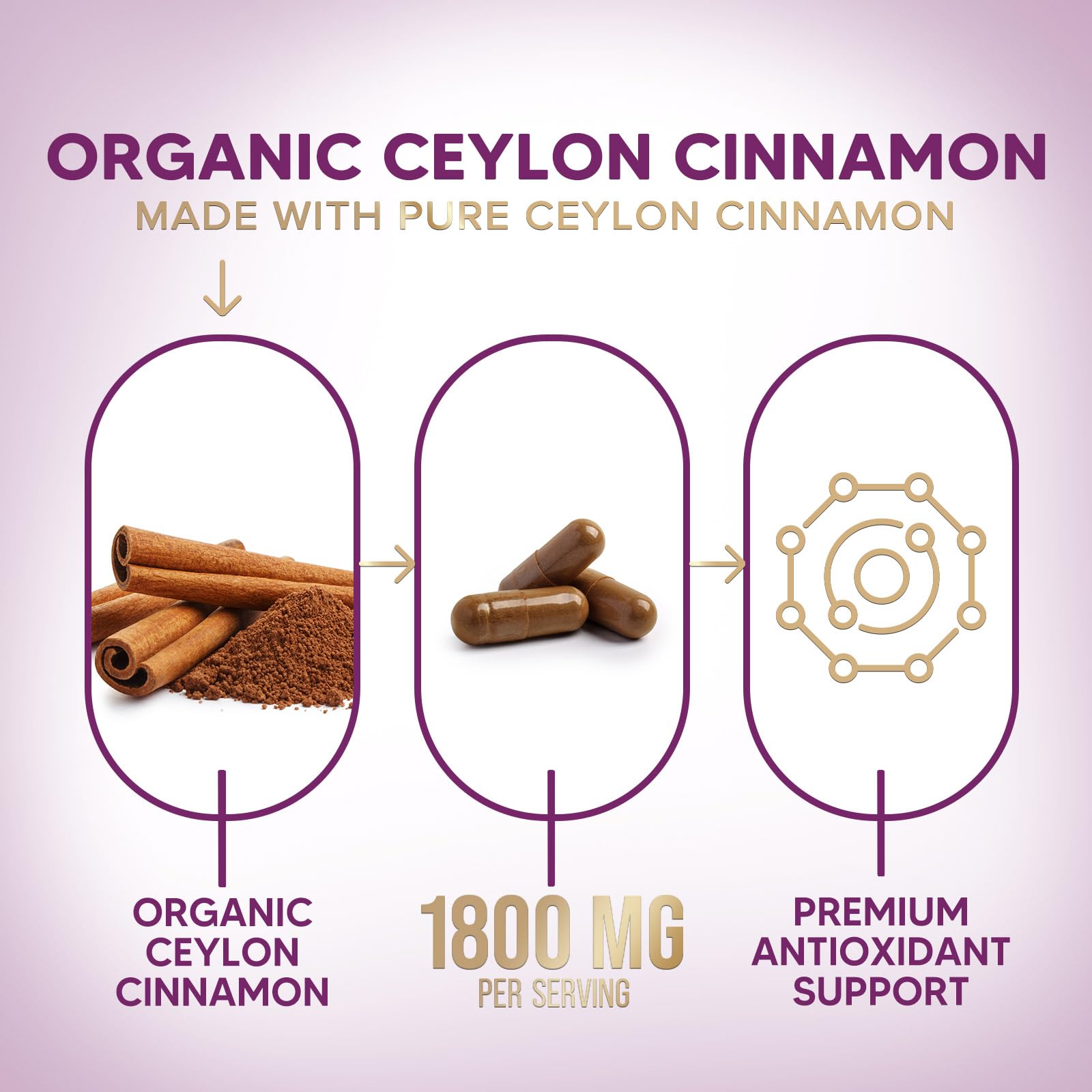 Ceylon Cinnamon Capsules - Certified Organic Ceylon Cinnamon Powder - 100% Extra Strength Cinnamon Pills - Energy & Heart Support - Gluten Free & Sugar Free Supplement - Bottled in USA - 120 Capsules — Amazon image 3