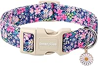 Lionet Paws Floral Dog Collar - Cute Spring Wildflowers Daisy Fleabane Adjustable Collar for Small Medium Dogs, Quick Release Buckle
