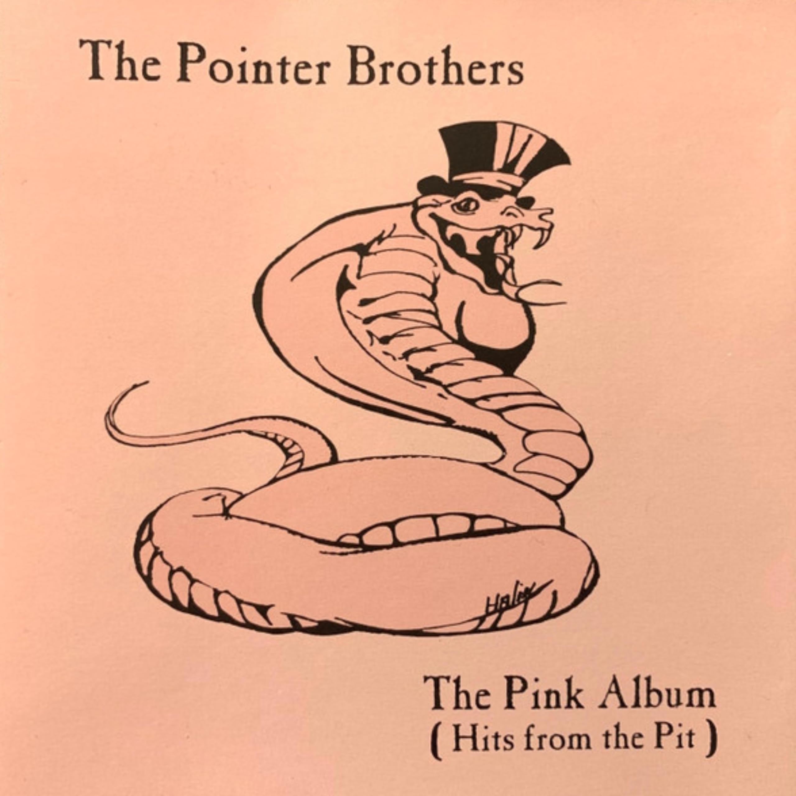 The Pointer Brothers