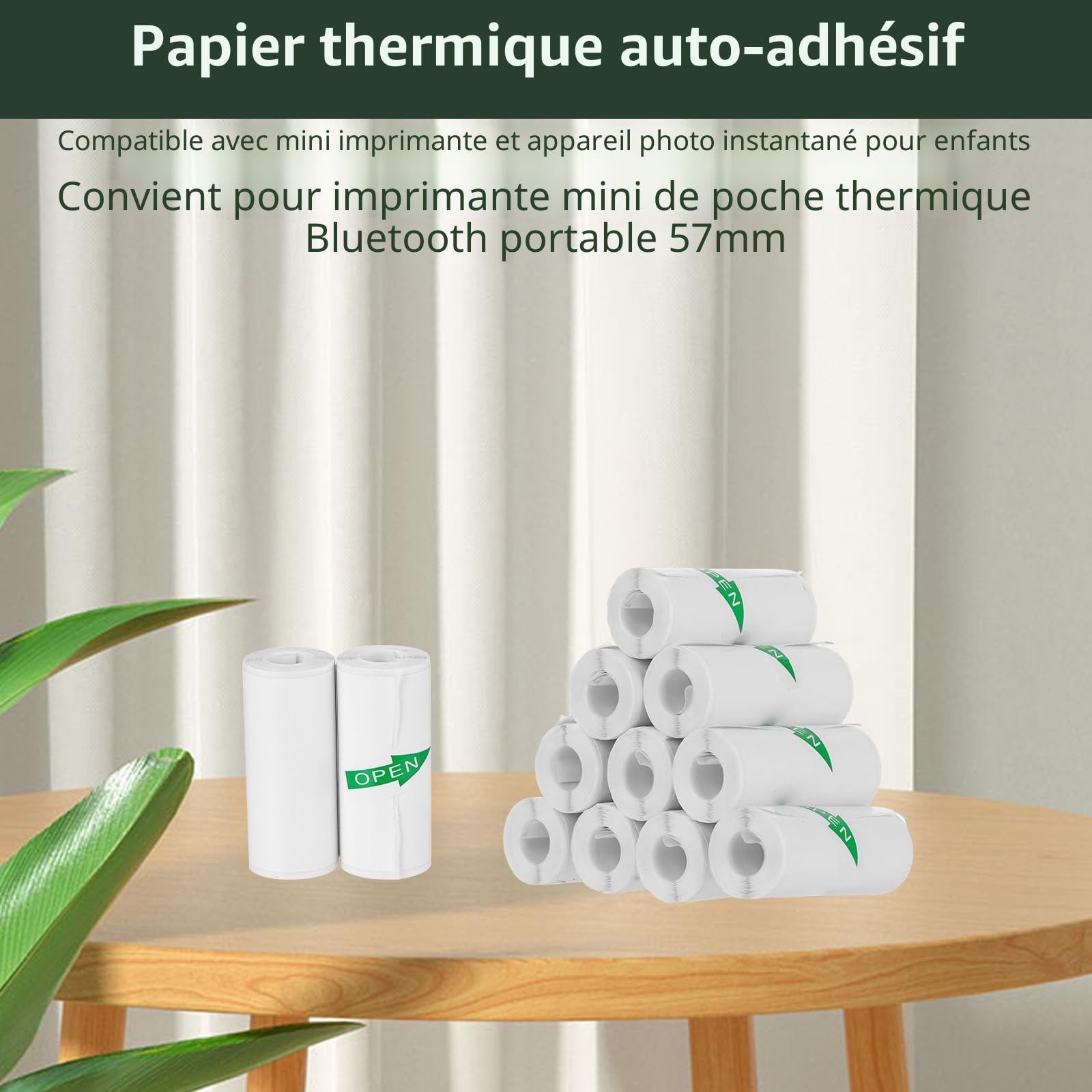 Papier Thermique pour Mini Imprimante, Lot de 10 Rouleaux Autocollants