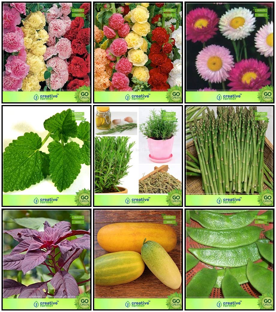 Creative Farmer Combo Plant Seeds Amazon.in Garden & Outdoors