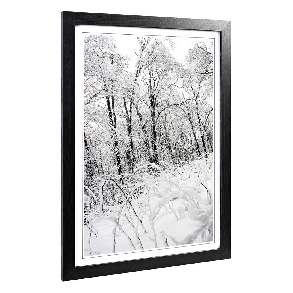 Big Box Art Framed Print of Winter Forest Woodland Landscape Design | Wall Art Picture | Home Decor for Kitchen, Living Room, Bedroom, Hallway, Black, A2 / 24.5x18 Inch / 62x45cm