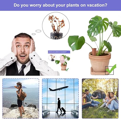 Miniatura 2 de Estacas de inserción de plantas de riego automático dispositivos de riego de plantas de cerámica riego automático de plantas para vacaciones al aire