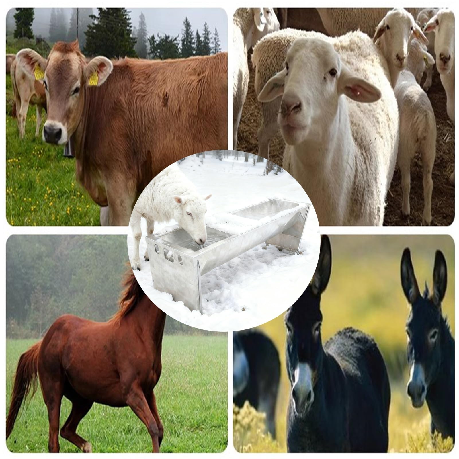 Cabra Alimentador Comedero, Granja Cobertizos Alimentador De Agua, con Autocompletar Válvula De Flotador Ganadería Alimentador Abrevadero para Cabra Caballo Ganado(32x100cm)
