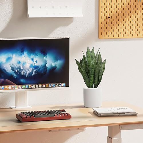 Miniatura 8 de Anewsun Juego de 2 plantas artificiales de serpiente sintética de 18 pulgadas con macetas de cerámica blanca pura, Sansevieria falsa para decoración