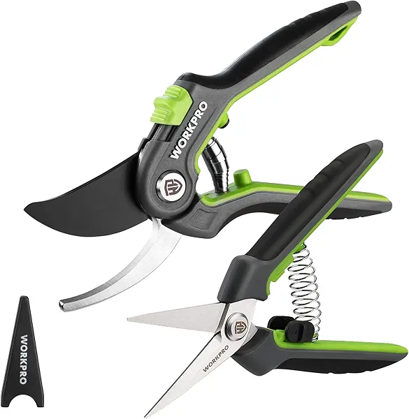 WORKPRO Garden Pruning Shears 2 Pack, 8" Bypass Pruning Shears and 6.25" Straight Garden Scissors, Premium Plant Shears, Garden Clippers Hand Tools for Cutting Flowers, Trimming Plants, Pick