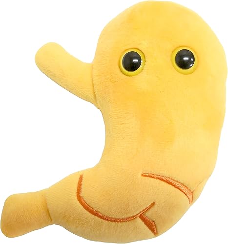Miniatura 1 de GIANTmicrobes - Peluche estomacal  Juguete anatómico de órgano, regalo de recuperación de cirugía bariátrica, regalos de bypass gástrico, manga