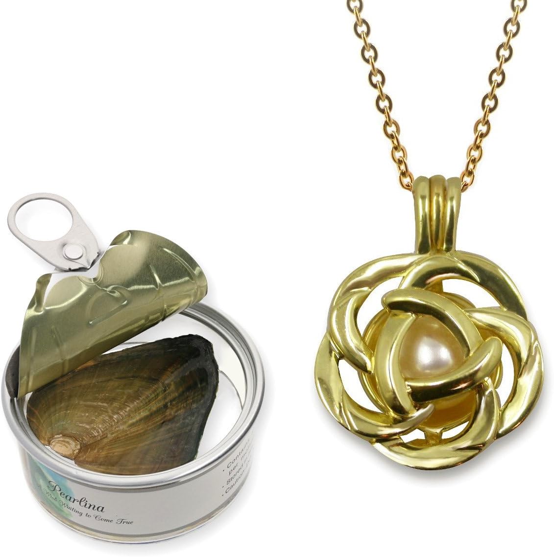 Pearlina 14k Gold Plated Rose Cage Pearl Necklaces for Women -Wish Pearl Necklace Womens Jewelry -Real Freshwater Cultured Pearl in oyster Locket Set - Pearls Necklace for Women -Stainless steel chain