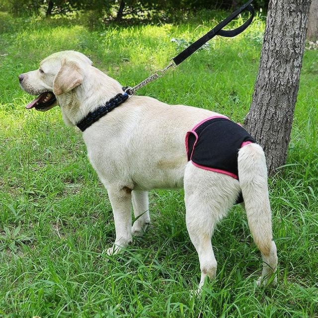 Foto 3 de 8 de Ropa Interior para Perros, Algodón Suave y cómodo para Mascotas, Mascotas sanitarias