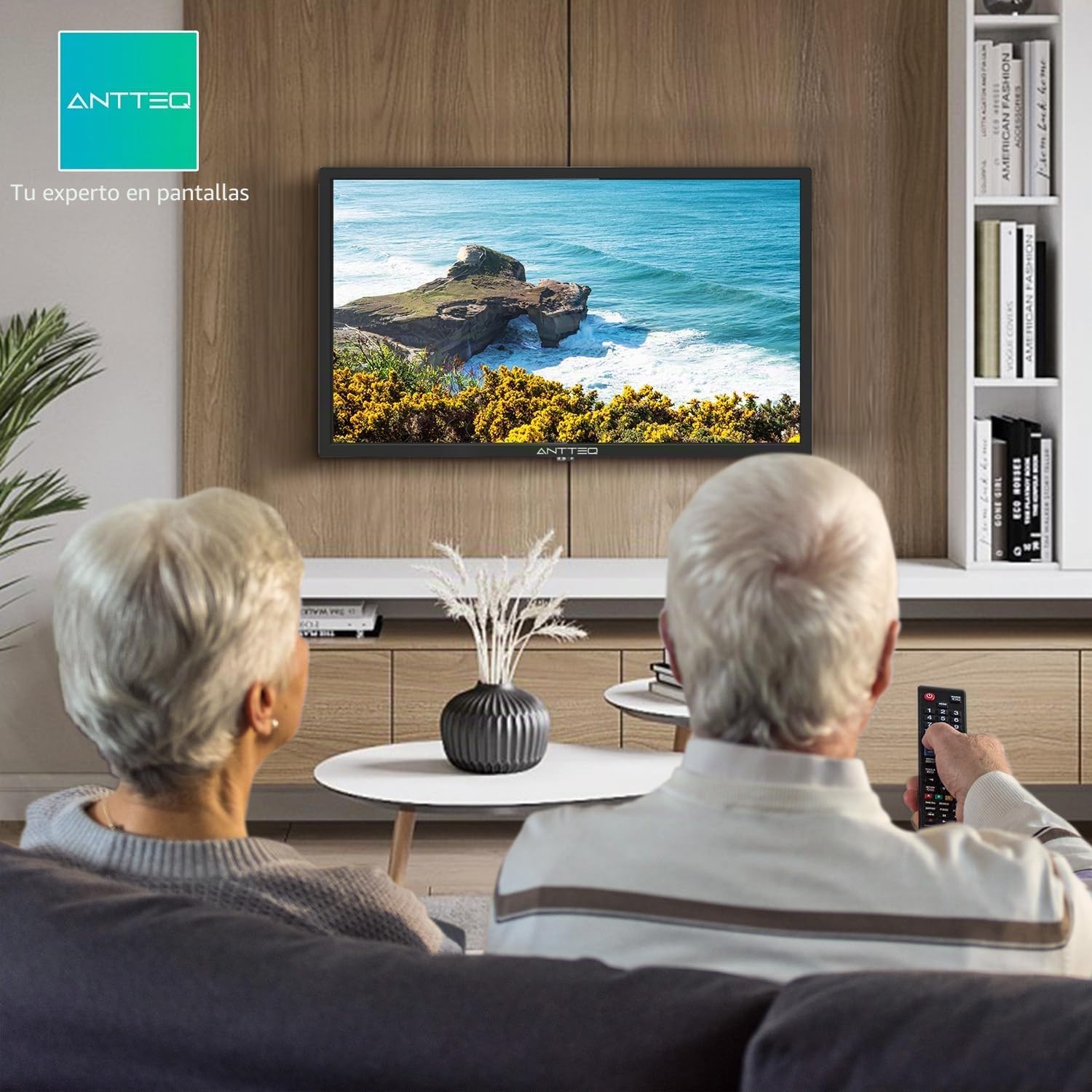 Antteq AB42D1 TV 42 Pulgadas (Televisores 106 cm), Dolby Audio, 2K D-LED, HDMI, USB, Salida de Audio Digital, Triple sintonizador DVB-C/T2/S2, Ci+, Incluido Modo Hotel