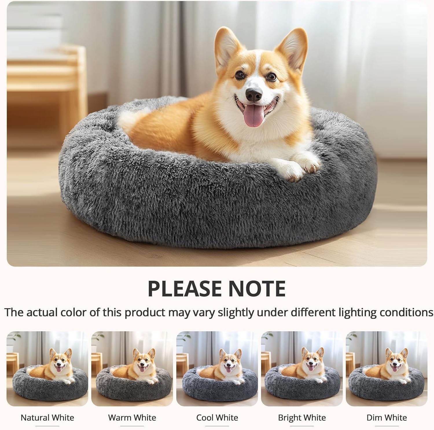 https://m.media-amazon.com/images/I/71ptBdPvfML._AC_SL1500_.jpg