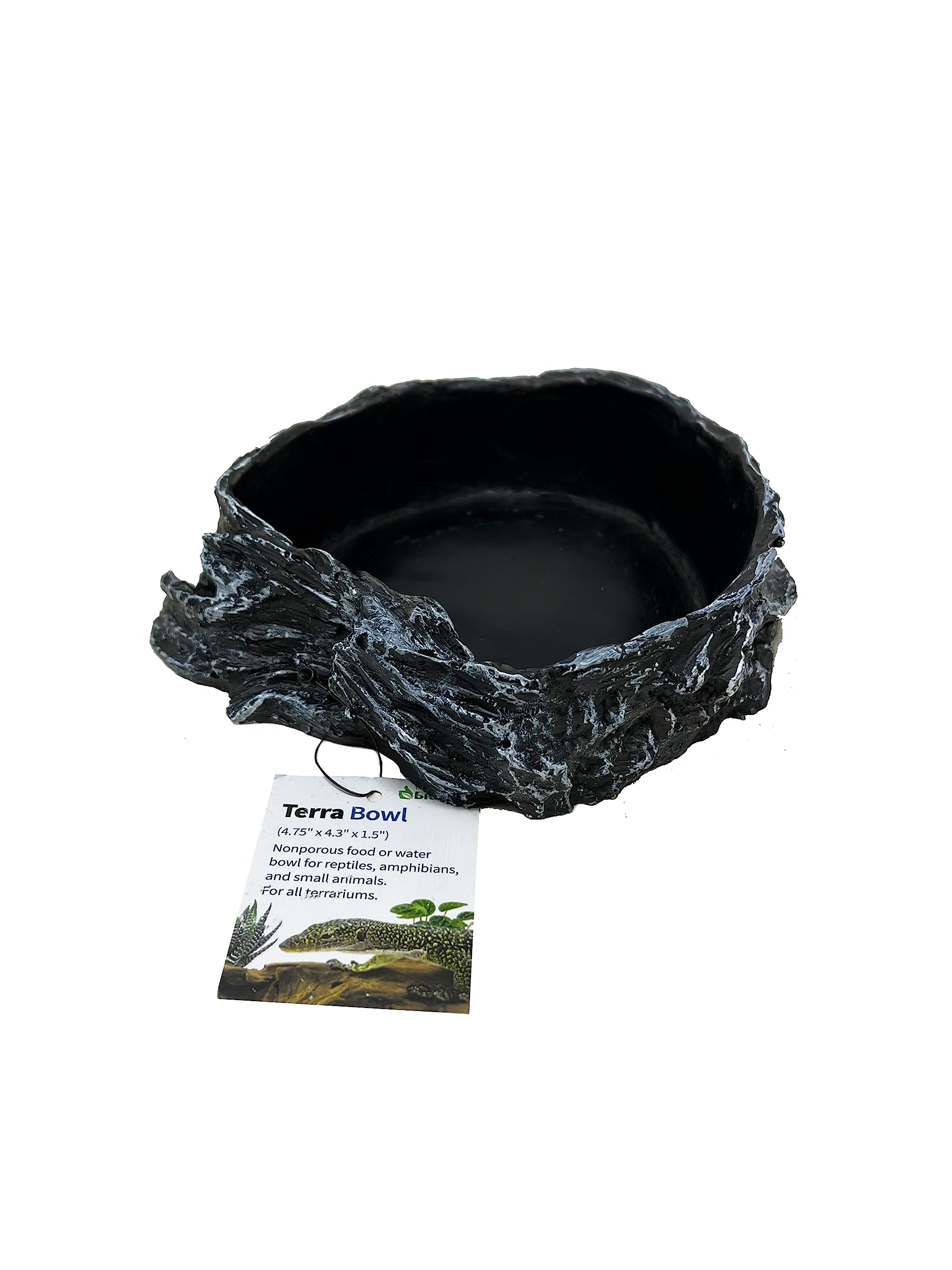 The Bio Dude Terra Water and Food Bowl for Reptiles, Amphibians, Small Mammals and Arachnids. Looks Natural and Animal Safe