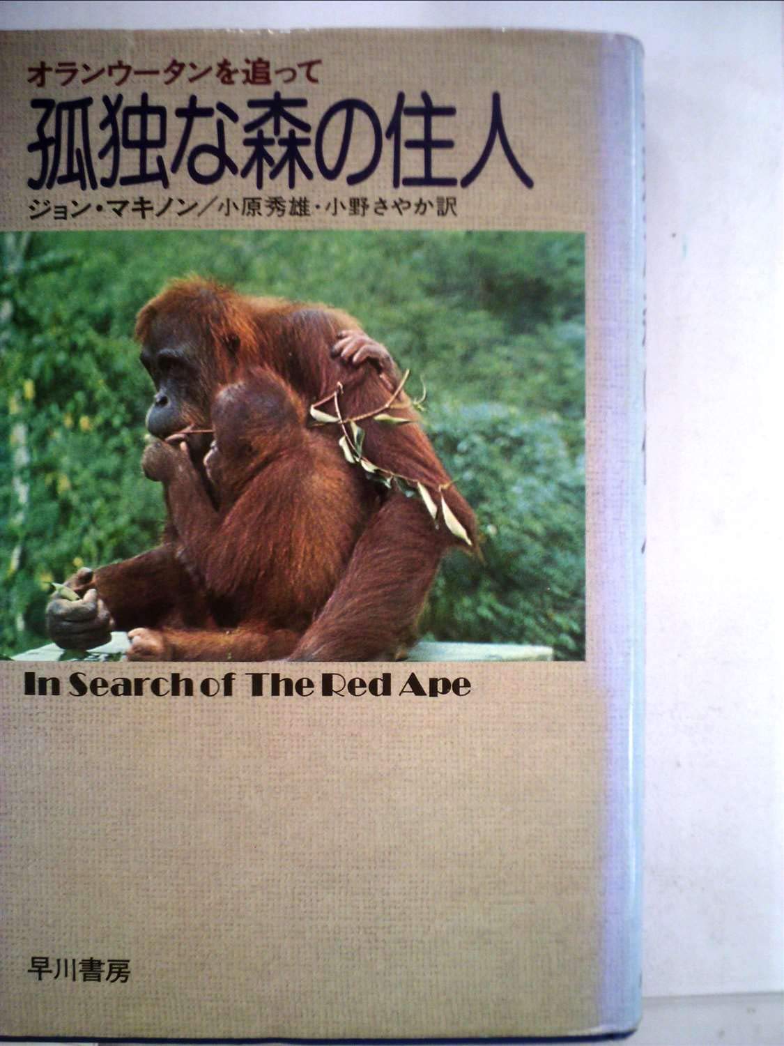 孤独な森の住人—オランウータンを追って (1977年) 71ptFabLRTL.jpg