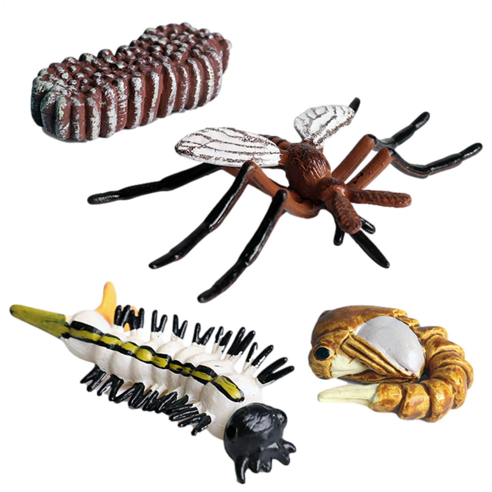 Quzente Animal Life Cycle Toys, Clear Life Cycle Figurines Kit, Early Educational Animals Toys - Creative And Fun, Improving Children's Cognitive Ability, Growth Cycle Models For Kids ()