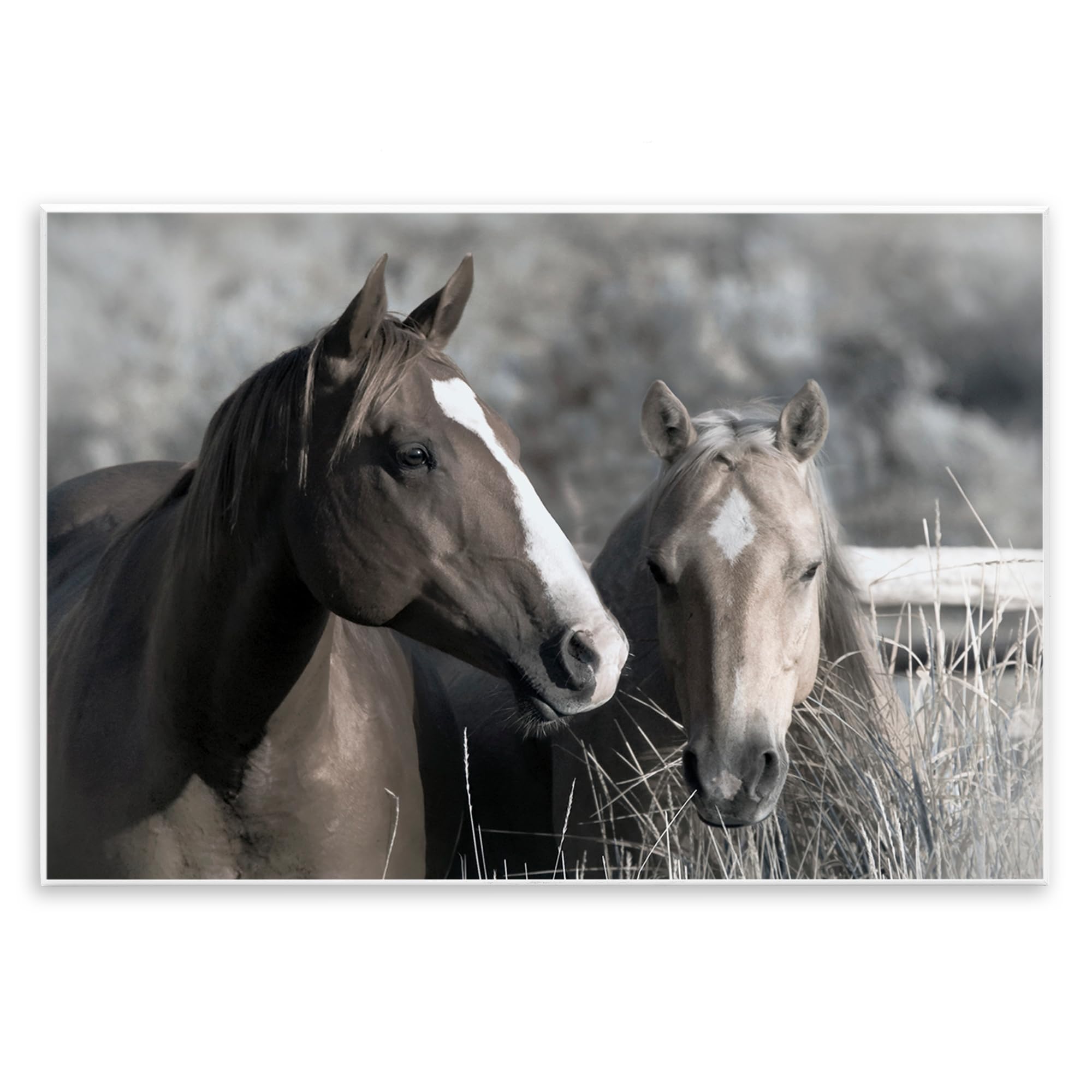 Stupell Industries Unframed 'Content Horses In Pasture'| Wall Plaque Art