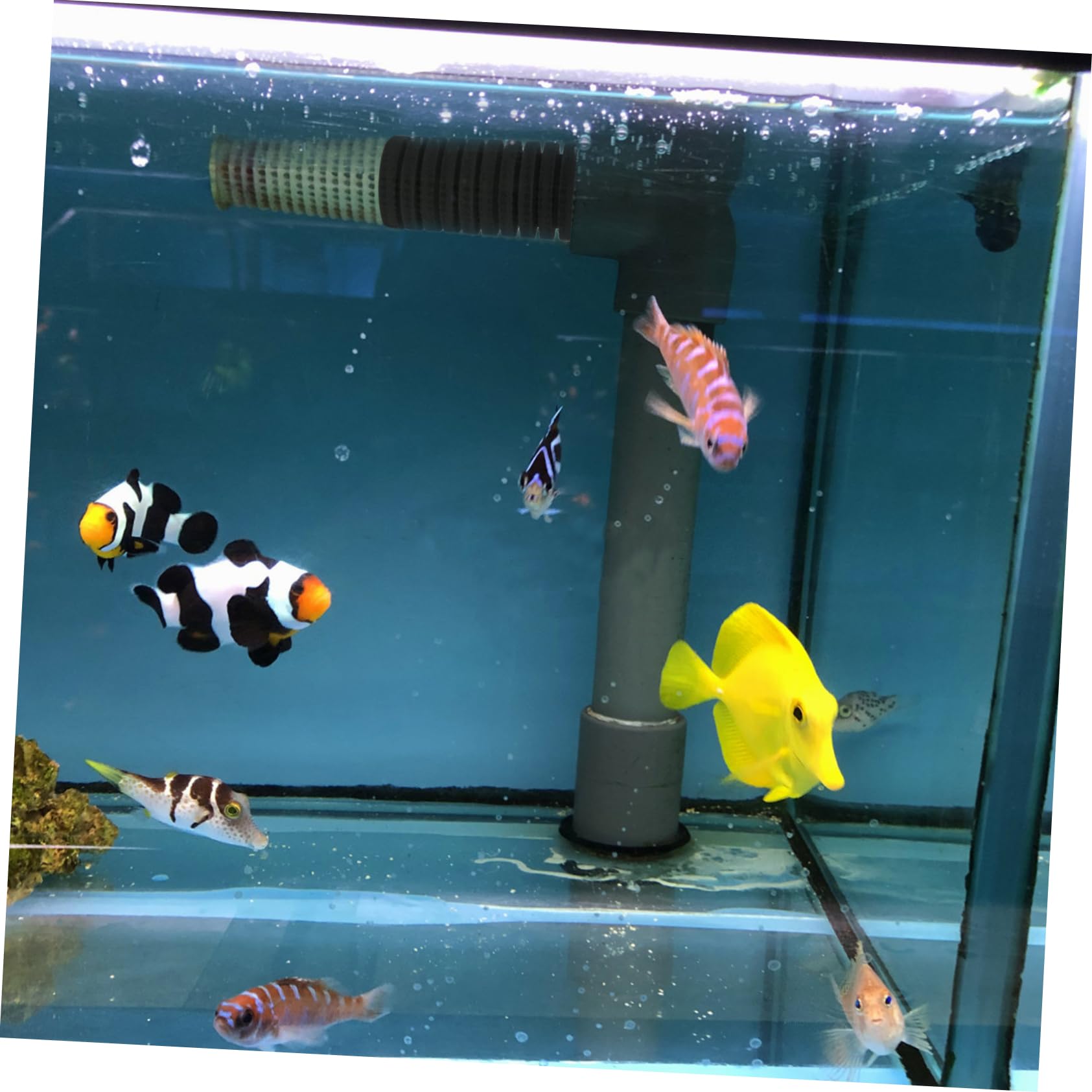 4stücke Aquarium Filter Zubehör Austauschbare Reinigungs-schwämme Für Fischbecken Langlebig Leicht Zu Installieren Mit Feiner Verarbeitung Für Optimale Filterleistung